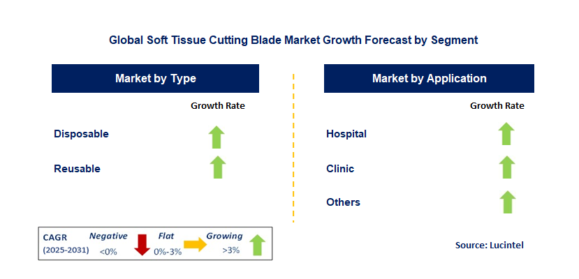 Soft Tissue Cutting Blade Market by Segment